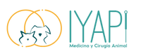 Iyapi