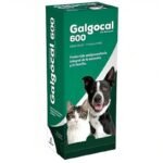 Compañia california California - Galgocal 600